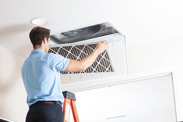 Best Affordable HVAC Services  in Tropical Park, FL